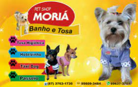 Pet Shop Moriá Garanhuns PE