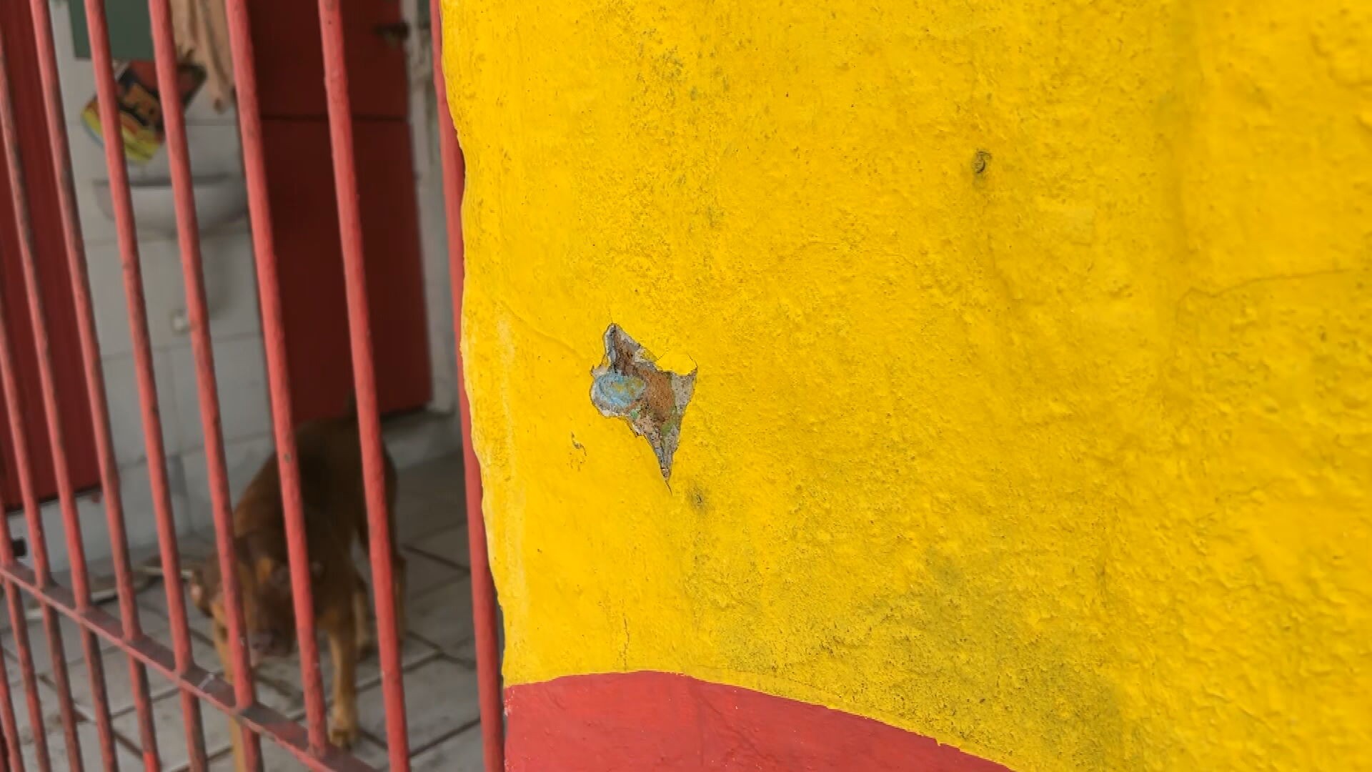 foto Not&iacute;cia Garanhuns